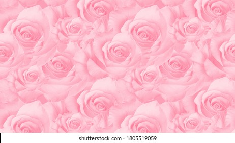 Pink Rose Aesthetic High Res Stock Images Shutterstock