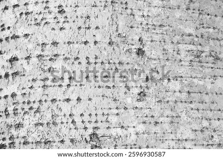 pattern of birch bark with black birch stripes on white birch bark and with wooden birch bark texture