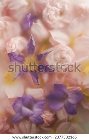 A pattern of delicate light flowers in a blur filter. Petals flowers of roses, clematis and tulips, background for text and cover