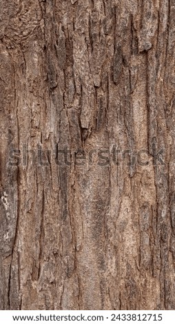 Pattern of dried old bark wood.Cracked wood texture big tree surface.Template for design.Abstract natural background.Beautiful pattern.Space for work.Banner.Wallpaper.Selective focus.