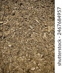 pattern of dry lake small rocks