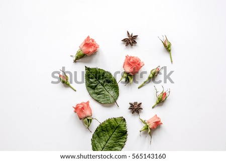 Similar – Tropical flower and palm leaves on white