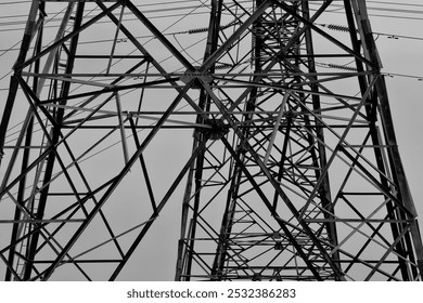 Pattern Formed By a Series of Multiple Electrical Pylons (black ands white)