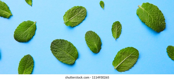 Pattern Of Fresh Green Mint Leaves On A Blue Background