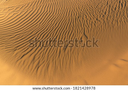 Pattern of golden sand on a beach in the summer. The textured surface of sand on the beach after a strong wind in the form of waves close up. Ribbed sand texture. Yellow river sand background