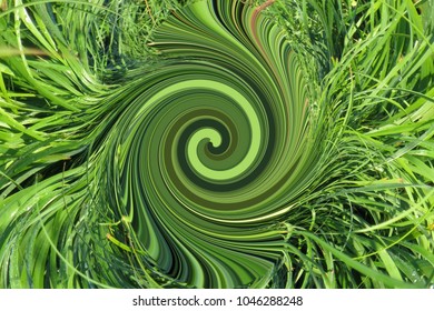 A pattern of green curves