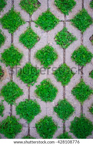 the pattern, green weeds fill the laying floor tiles