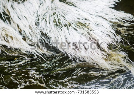 Pattern of hot spring bacteria in Chae Son National park, Lampang, Thailand
