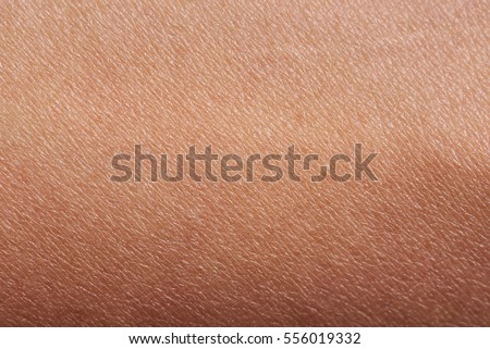 Pattern of human dark skin with cells and lines texture