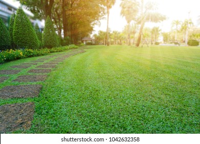 Pattern of Laterite stepping stone on a green Lawn backyard in the public park, Ficus and shurb on the left , Trees in background under evening sunlight  