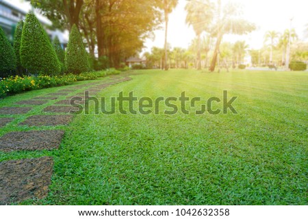 Pattern of Laterite stepping stone on a green Lawn backyard in the public park, Ficus and shurb on the left , Trees in background under evening sunlight  