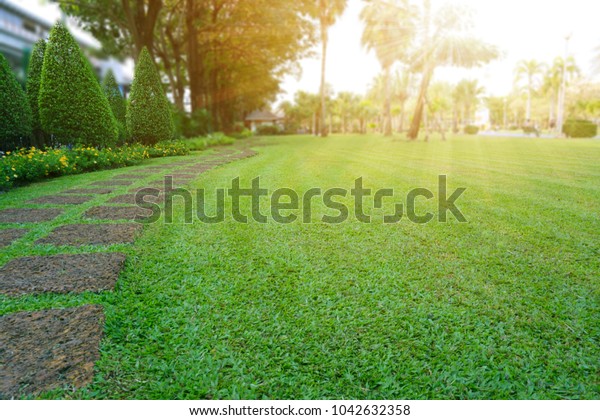 公園綠色草坪後院上的拉特石踏腳石圖案 左邊有菲古斯和灌木圖案 晚間陽光下的樹木背景庫存照片 立刻編輯