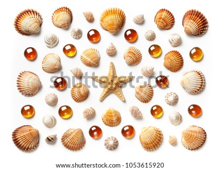 Pattern made of shells, starfish and orange glass beads isolated on white background. Flat lay, top view