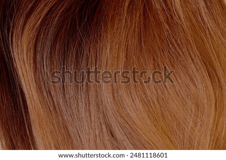 Pattern made of wavy beautiful brown hair.Examples and samples palette of colors.Concept of hair salon care and healthy