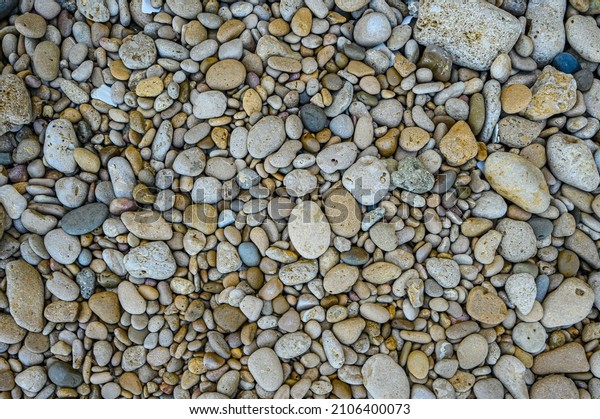 Pattern marine\
gravel top view. Multicolor rocky pattern. Gravel shore surface on\
ocean beach with natural light. bay roughness abstract. Water\
paving stone. Abstract stone\
shore.