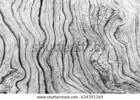 Similar – Image, Stock Photo Elephant eye? Knothole