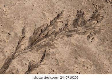 A pattern on the sand formed by a streamlet.