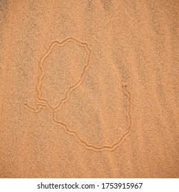 Pattern On The Sand Made By A Worm
