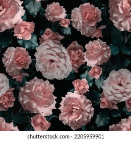 pattern with pink roses - Powered by Shutterstock - Get 15% off with code: PIKWIZARD15