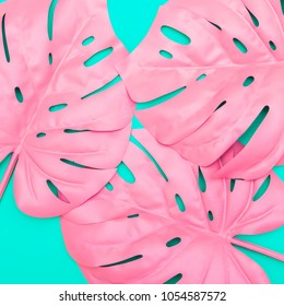 pattern of pink tropical palm leaves of monstera in vibrant bold color on turquoise background . Concept art. Minimal surrealism స్టాక్ ఫోటో