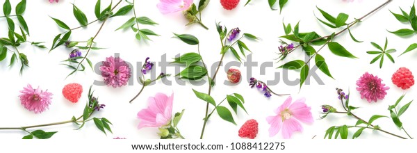 pattern from plants, wild flowers and  berries, isolated on white background, flat lay, top view. The concept of summer, spring, Mother's Day