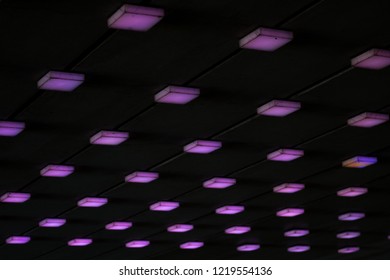 Pattern of purple lights on a black background