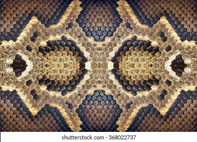 Pattern Of Python Skin.