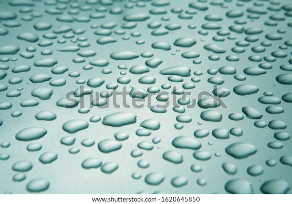 a pattern of\
raindrops on the hood of a\
car