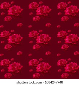  Pattern red blossoming rose of different size on a dark background.  Beautiful floral background for your projects.