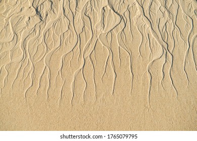 Pattern of sand erosion make beautiful line and curve on the beach