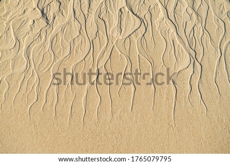 Pattern of sand erosion make beautiful line and curve on the beach