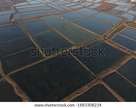 Pattern and shape of fish ponds on land. The fishing industry in Indonesia view from above by drone. Aerial landscape of farmland