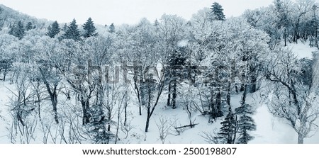 Similar – Image, Stock Photo A snow covered rural road in Northumberland, UK