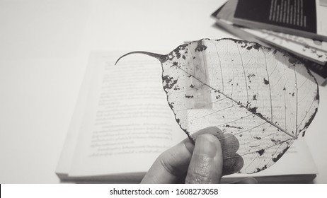 The pattern and texture of the dry leaves and the background of the book on the white ground. Concept Dharma books teach to understand the truth of life. Everything is not sustainable.