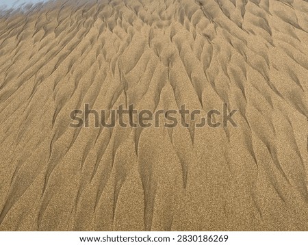 Pattern Texture: The sand features an intricate array of branching, stream-like channels carved into its surface. These fluid, flame-like rills converge and diverge diagonally across the frame, creating a dynamic sense of motion and rhythmic depth.