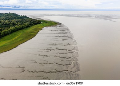 Pattern of tidal mud flats contrasts with green of forests on coastline