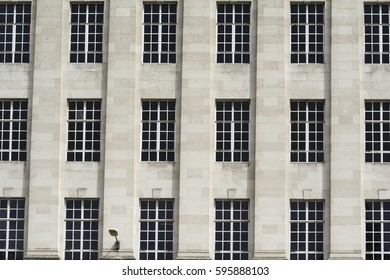 Pattern of windows on the facade of a building