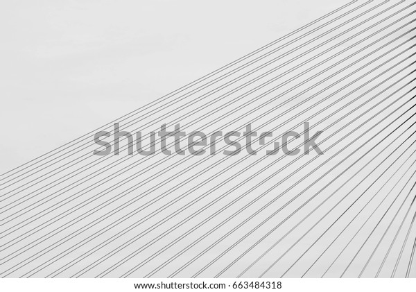 pattern of wire rope at suspension bridge -\
silhouette abstract\
background
