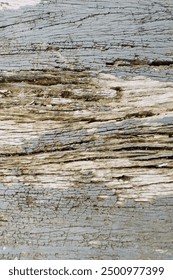 the pattern of wood. darkbrown