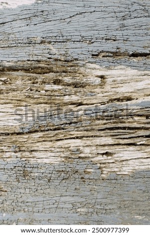 the pattern of wood. darkbrown