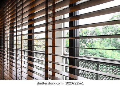 Pattern Of The Wooden Shutters Blinds (Windows Blinds) With The Light Sunshine