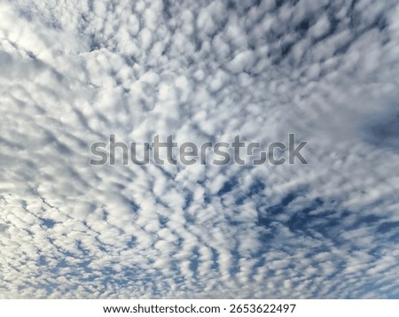 Patterned altocumulus clouds in blue sky, natural sky texture background with soft cloud formations, ideal for atmospheric and weather concepts.