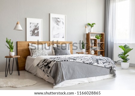 Similar – Foto Bild Schlafzimmer mit Pflanzen im Abendsonnenlicht