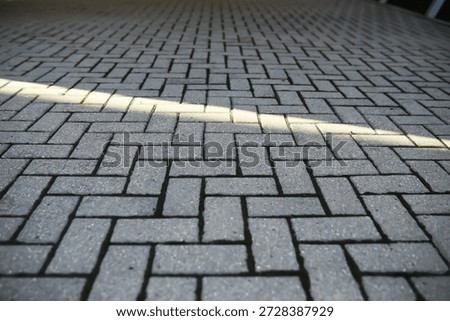Patterned Brick Pavement with Sunlight Strip Reflecting Urban Design Aesthetics