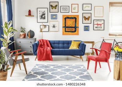 Patterned carpet in colorful living room interior with red armchair and navy blue settee. Real photo
