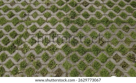 A patterned pavement made of interlocking concrete blocks with diamond-shaped gaps filled with grass. 