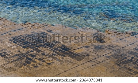 Patterned rock formation, Tessellated Pavement near Eaglehawk Neck, Tasmania, Australia.