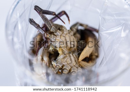 Patterns and backgrounds of Parasitic, Study of Parasitic and Anatomical pathology in laboratory.
