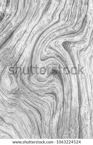 Image, Stock Photo Elephant eye? Knothole