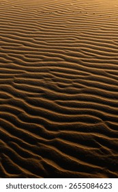 Patterns on the sand at the beach